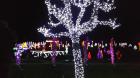 20151210_172259 (Medium)