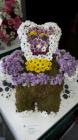 20160601_151409 (Medium)