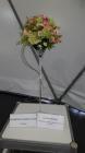 20160601_153718 (Medium)