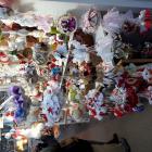 20161209_161624 (Medium) (Medium)