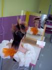 Picture 006