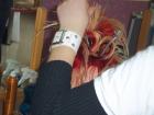 Picture 054