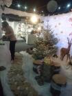DSC03431