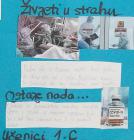 Covid 19