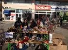 Trgoflores_2015. Knin