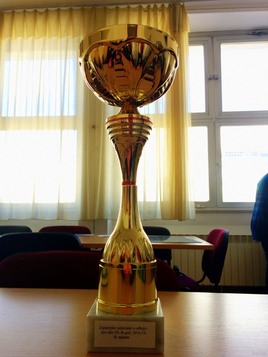 upanijsko natjecanje u odbojci - djevojke - 2014/2015.