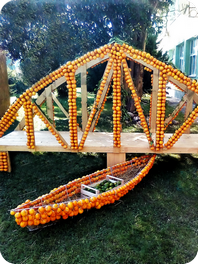 Dani mandarina