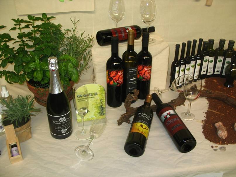 Vino sekcije Mladi vinari