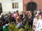 IMG_20130412_113235