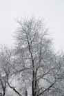 DIS_0166