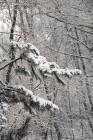 DIS_0170