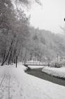 DIS_0171