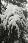DIS_0183