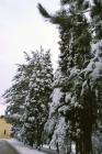 DIS_0190
