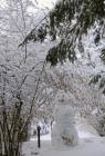 DIS_0192
