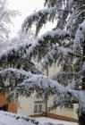 DIS_0194