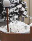 DIS_0212