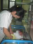 Picture 015a