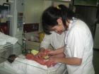 Picture 022a