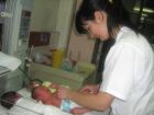 Picture 024a