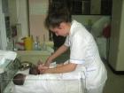 Picture 027