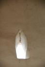 DIS_0552