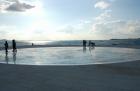 DIS_0601