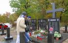DIS_0226
