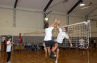 DIS_0294