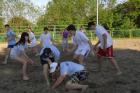 DIS_0235