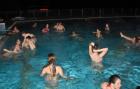 DIS_0288