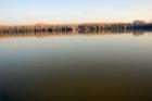 DIS_0075