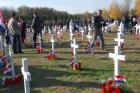 DIS_0141