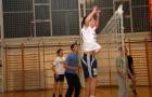 DIS_0730