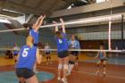 DIS_0337