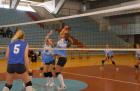DIS_0340