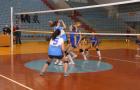 DIS_0351