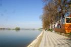 DIS_0170