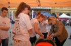 DIS_0282