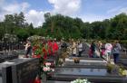 DIS_0369