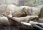 Picture 027
