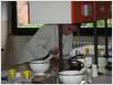 Sm2008_farmaceuti_39