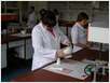 Sm2008_farmaceuti_69