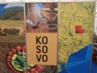 Ssmm21viroexpo2016 (40)