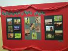 Ssmmumjetnost2016 (7)