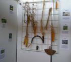 Agroarka201202