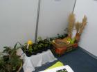 Agroarka201205