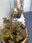 Agroarka201207