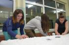 Ssmmssnjegovic2014 (1)