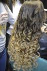 DSC_0814 (683x1024)